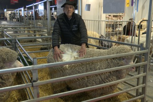 Postales Expo Rural Palermo 2025