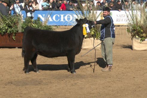 Postales Expo Rural Palermo 2025