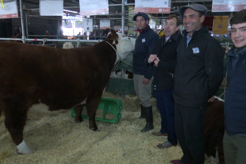 Postales Expo Rural Palermo 2025