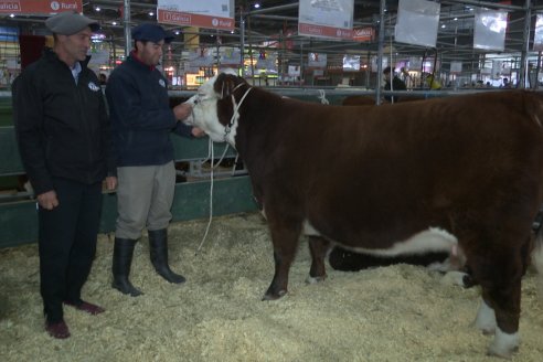 Postales Expo Rural Palermo 2025