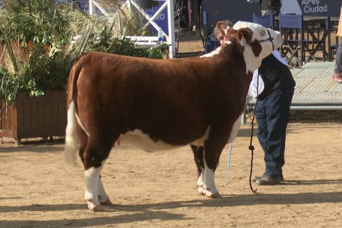 Postales Expo Rural Palermo 2025