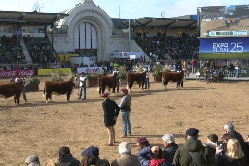 Postales Expo Rural Palermo 2025