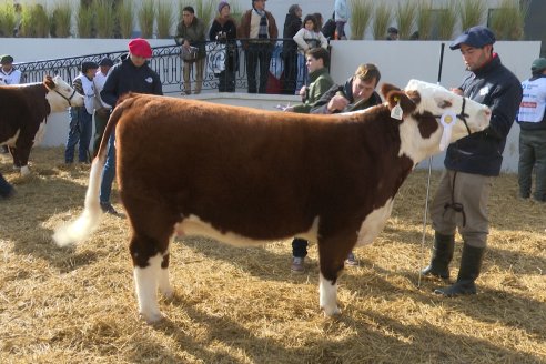 Postales Expo Rural Palermo 2025