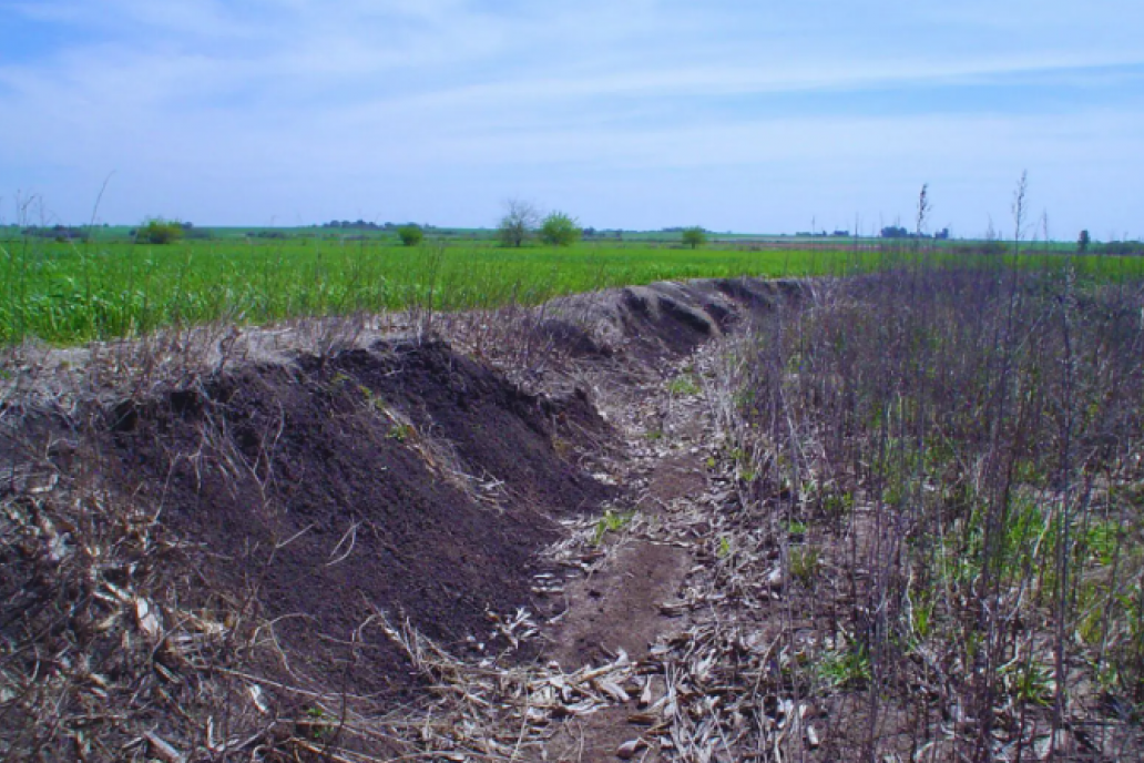 Con un celular es posible medir la presencia de fórforo en el suelo