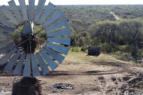 Visita a Palmas Altas una Estancia de Villaguay con mucho monte donde le ganaron la pelea a la garrapata