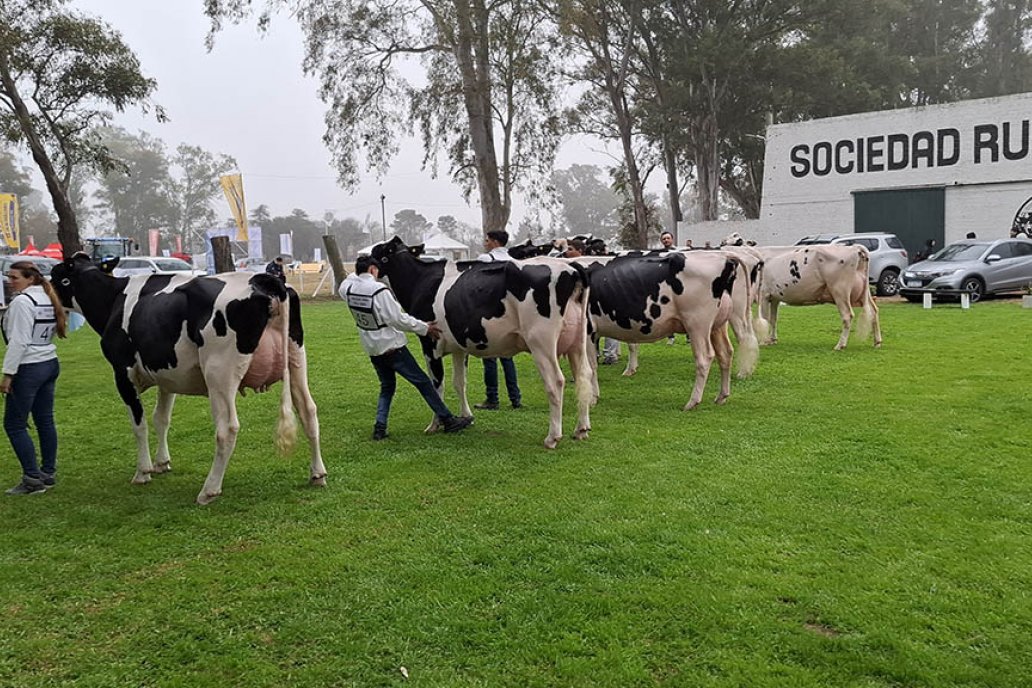 Se desarrollará del 4 al 7 de septiembre en la Sociedad Rural Villa María