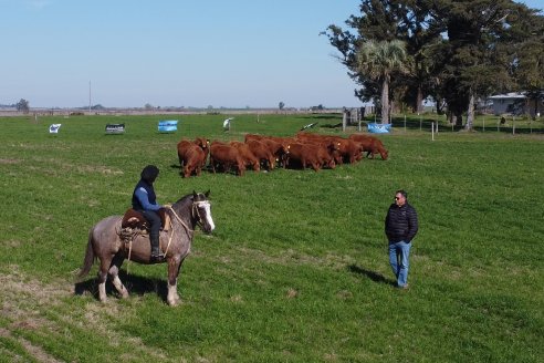 Visita a Cabaña Malaika, Angus Colorados - Distrito Pajonal, Victoria - Previa al 4° Remate Anual 5 de Septiembre