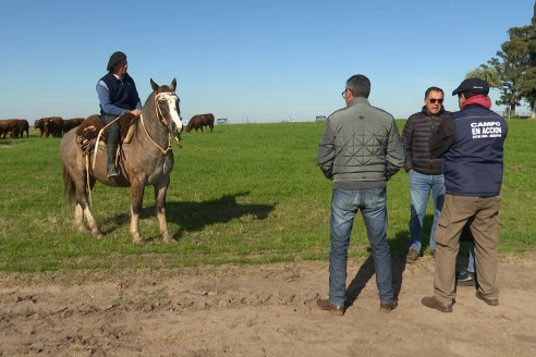 Visita a Cabaña Malaika, Angus Colorados - Distrito Pajonal, Victoria - Previa al 4° Remate Anual 5 de Septiembre
