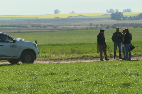 Visita a Cabaña Malaika, Angus Colorados - Distrito Pajonal, Victoria - Previa al 4° Remate Anual 5 de Septiembre