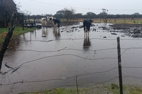 Entre Ríos: la lluvia arrancó tupida, con pico de 120 milímetros, y seguirá hasta bien entrado este miércoles