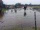 Entre Ríos: la lluvia arrancó tupida, con pico de 120 milímetros, y seguirá hasta bien entrado este miércoles