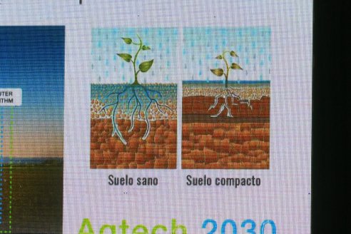 Jornada de Cultivos de Verano - CPC Paraná, Agosto 2025