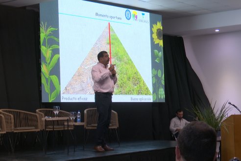 Jornada de Cultivos de Verano - CPC Paraná, Agosto 2025