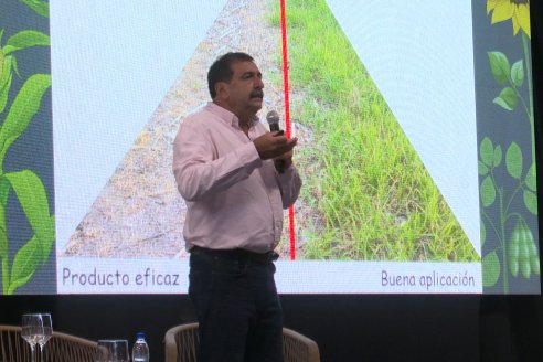 Jornada de Cultivos de Verano - CPC Paraná, Agosto 2025