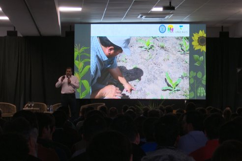 Jornada de Cultivos de Verano - CPC Paraná, Agosto 2025