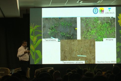 Jornada de Cultivos de Verano - CPC Paraná, Agosto 2025