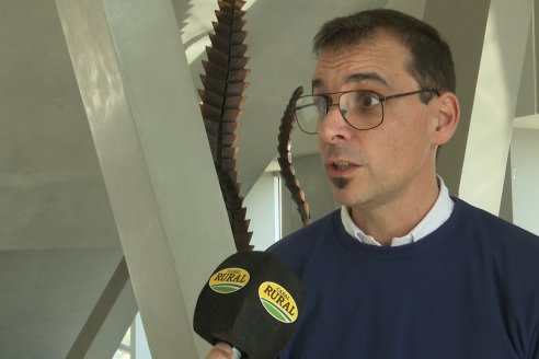 Jornada de Cultivos de Verano - CPC Paraná, Agosto 2025