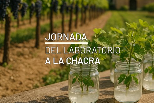 Las opciones para diversificar van del laboratorio a la chacra