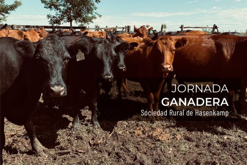 Hay cita de capacitación para los hacedores de la fábrica de carne