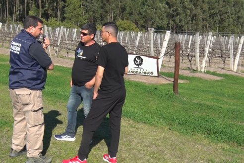Visita a Bodega Siandra Hermanos - La Criolla, Entre Ríos