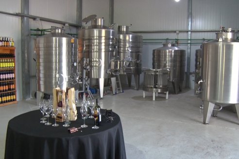 Visita a Bodega Siandra Hermanos - La Criolla, Entre Ríos