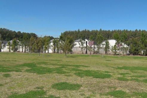 Visita a Bodega Siandra Hermanos - La Criolla, Entre Ríos