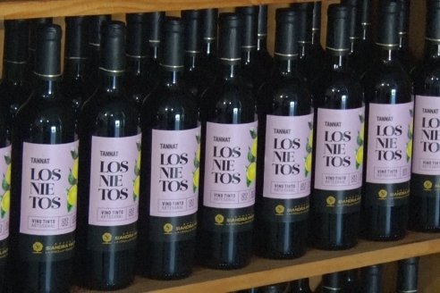 Visita a Bodega Siandra Hermanos - La Criolla, Entre Ríos