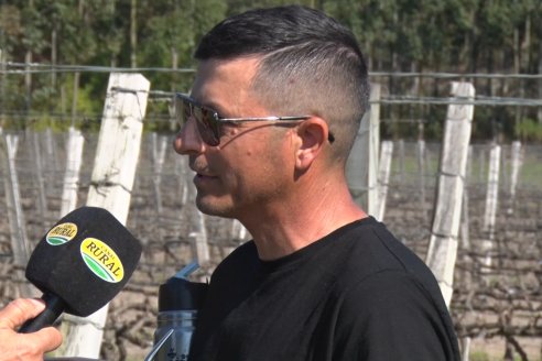 Visita a Bodega Siandra Hermanos - La Criolla, Entre Ríos