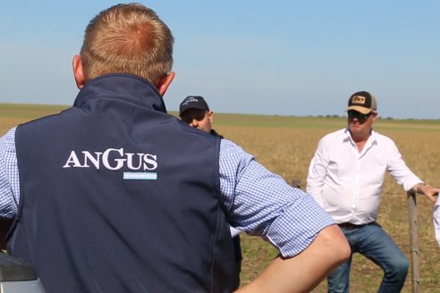 Dia de Campo de Cabaña Los Ramones de Emimai SA - Previo al 2° Remate Anual ANGUS DE PRIMERA