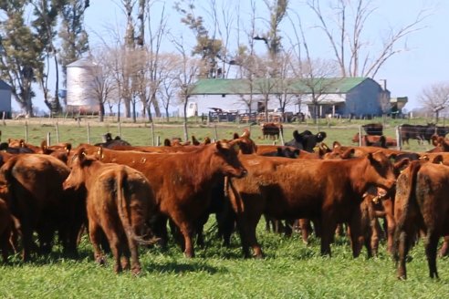 Dia de Campo de Cabaña Los Ramones de Emimai SA - Previo al 2° Remate Anual ANGUS DE PRIMERA