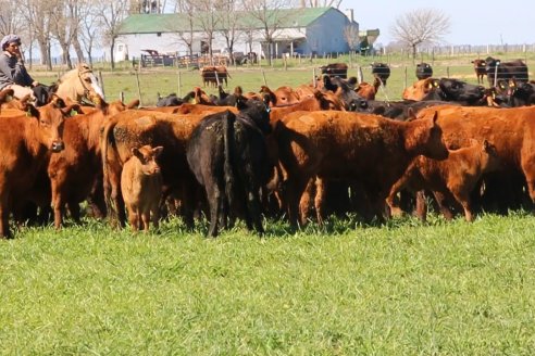 Dia de Campo de Cabaña Los Ramones de Emimai SA - Previo al 2° Remate Anual ANGUS DE PRIMERA