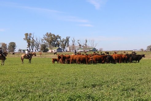Dia de Campo de Cabaña Los Ramones de Emimai SA - Previo al 2° Remate Anual ANGUS DE PRIMERA