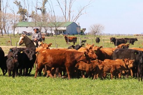 Dia de Campo de Cabaña Los Ramones de Emimai SA - Previo al 2° Remate Anual ANGUS DE PRIMERA