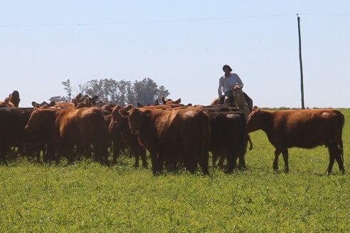 Dia de Campo de Cabaña Los Ramones de Emimai SA - Previo al 2° Remate Anual ANGUS DE PRIMERA