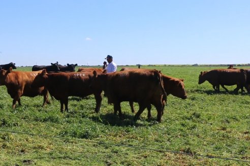 Dia de Campo de Cabaña Los Ramones de Emimai SA - Previo al 2° Remate Anual ANGUS DE PRIMERA