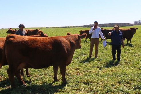 Dia de Campo de Cabaña Los Ramones de Emimai SA - Previo al 2° Remate Anual ANGUS DE PRIMERA