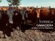 Hay cita de capacitación para los hacedores de la fábrica de carne