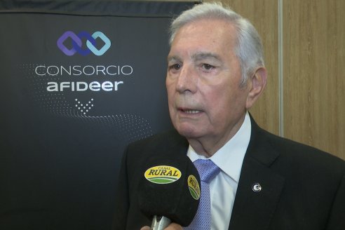 Semana de Innovación 2025: entregaron los premios a los proyectos ganadores - Centro de Convenciones de Paraná
