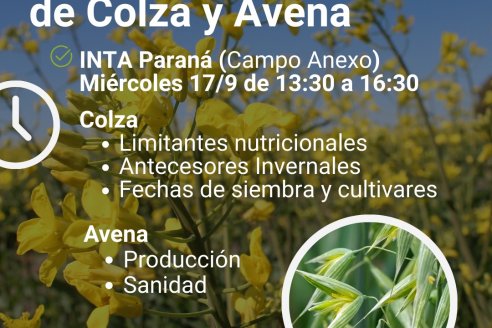 Recorrida de ensayos de colza y avena