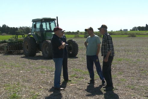 Dianámica a Campo de Bovier Maquinarias con Acondicionador de Suelos Tecno Campo