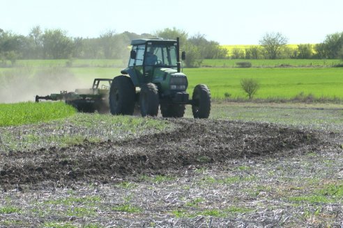 Dianámica a Campo de Bovier Maquinarias con Acondicionador de Suelos Tecno Campo