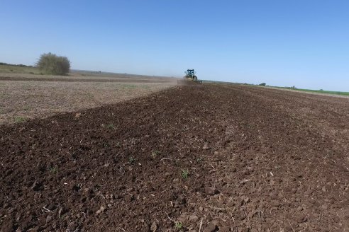 Dianámica a Campo de Bovier Maquinarias con Acondicionador de Suelos Tecno Campo