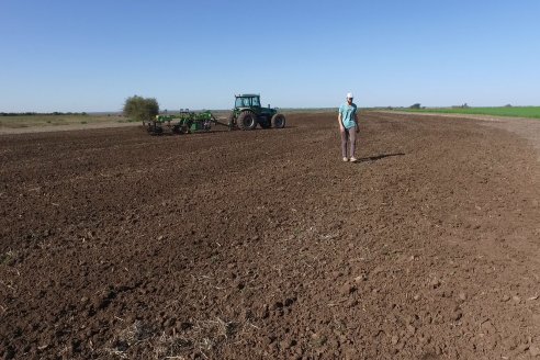 Dianámica a Campo de Bovier Maquinarias con Acondicionador de Suelos Tecno Campo