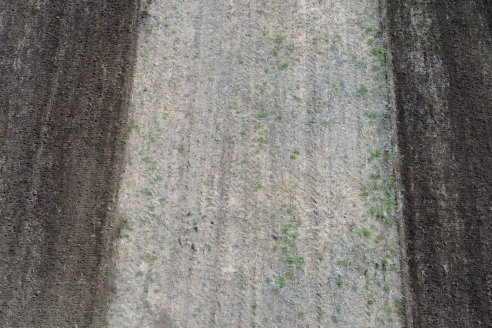 Dianámica a Campo de Bovier Maquinarias con Acondicionador de Suelos Tecno Campo