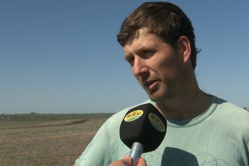 Dianámica a Campo de Bovier Maquinarias con Acondicionador de Suelos Tecno Campo