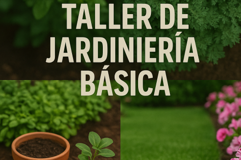 Taller de Jardinería Básica