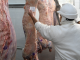 El peso promedio de faena de mayo promedió los 240 kilos