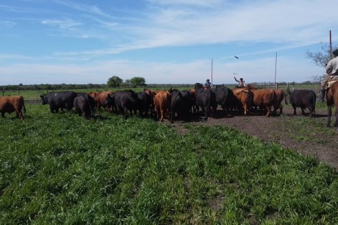 Recorrida a Campo Previa al 20° Remate Anual Estancia Don Pastor