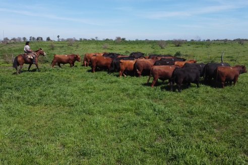 Recorrida a Campo Previa al 20° Remate Anual Estancia Don Pastor