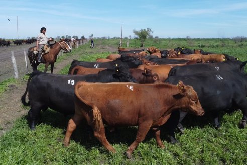 Recorrida a Campo Previa al 20° Remate Anual Estancia Don Pastor